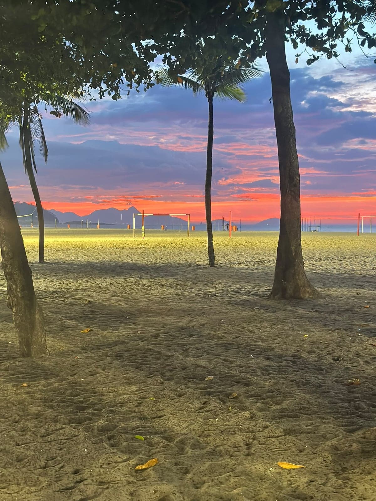 Pôr do sol sobre o mar, emoldurado por palmeiras.